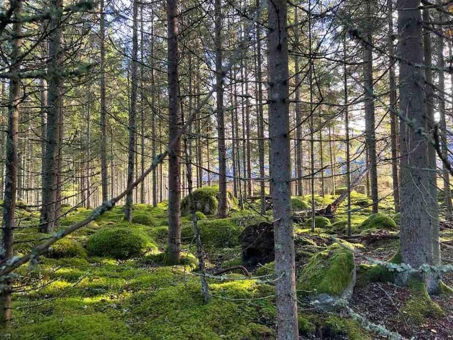 Gaeststuga 100M Fran Sjoen Vislanda Exterior foto